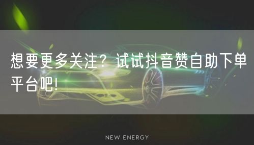 想要更多关注?试试抖音赞自助下单平台吧!