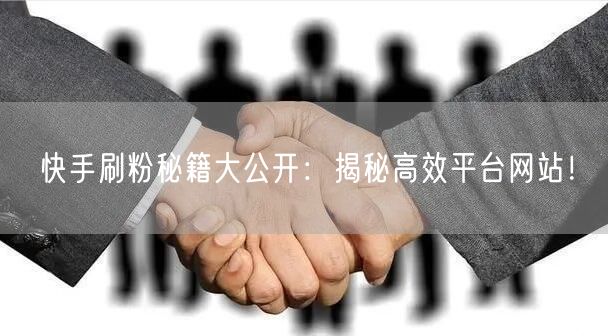快手刷粉秘籍大公开:揭秘高效平台网站!