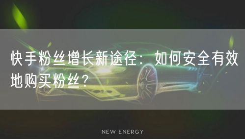 快手粉丝增长新途径:如何安全有效地购买粉丝?