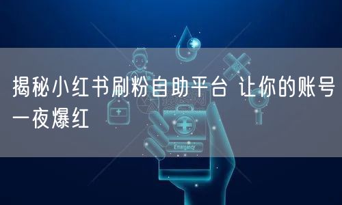 揭秘小红书刷粉自助平台 让你的账号一夜爆红