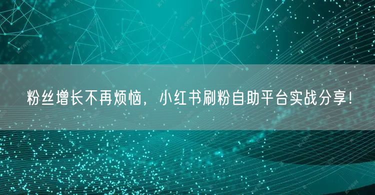 粉丝增长不再烦恼,小红书刷粉自助平台实战分享!