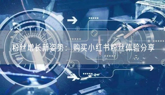 粉丝增长新姿势:购买小红书粉丝体验分享