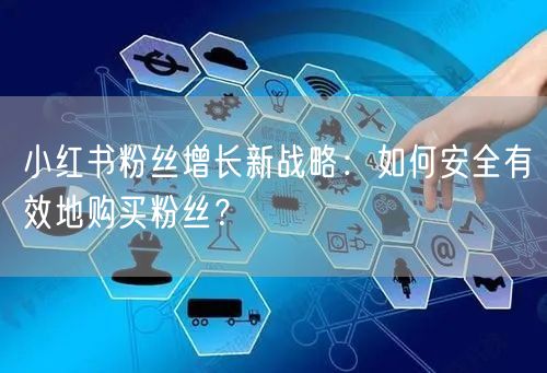 小红书粉丝增长新战略:如何安全有效地购买粉丝?