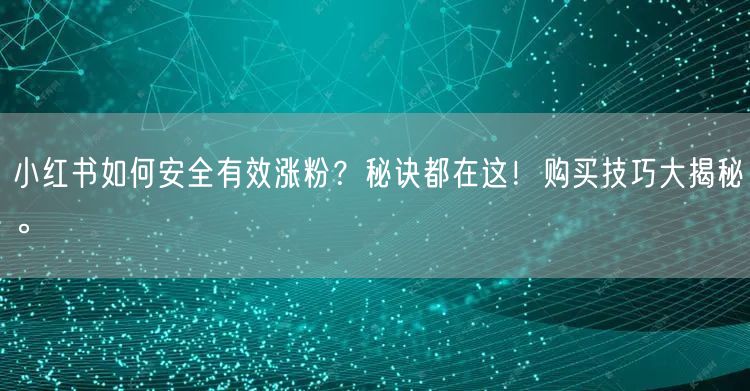 小红书如何安全有效涨粉?秘诀都在这!购买技巧大揭秘。